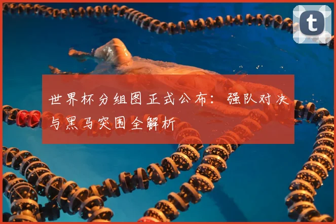 世界杯分组图正式公布:强队对决与黑马突围全解析